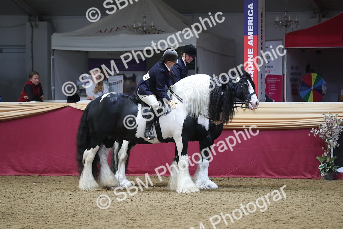 SBM_13679 - Class 109 Ridden Pairs - Section B