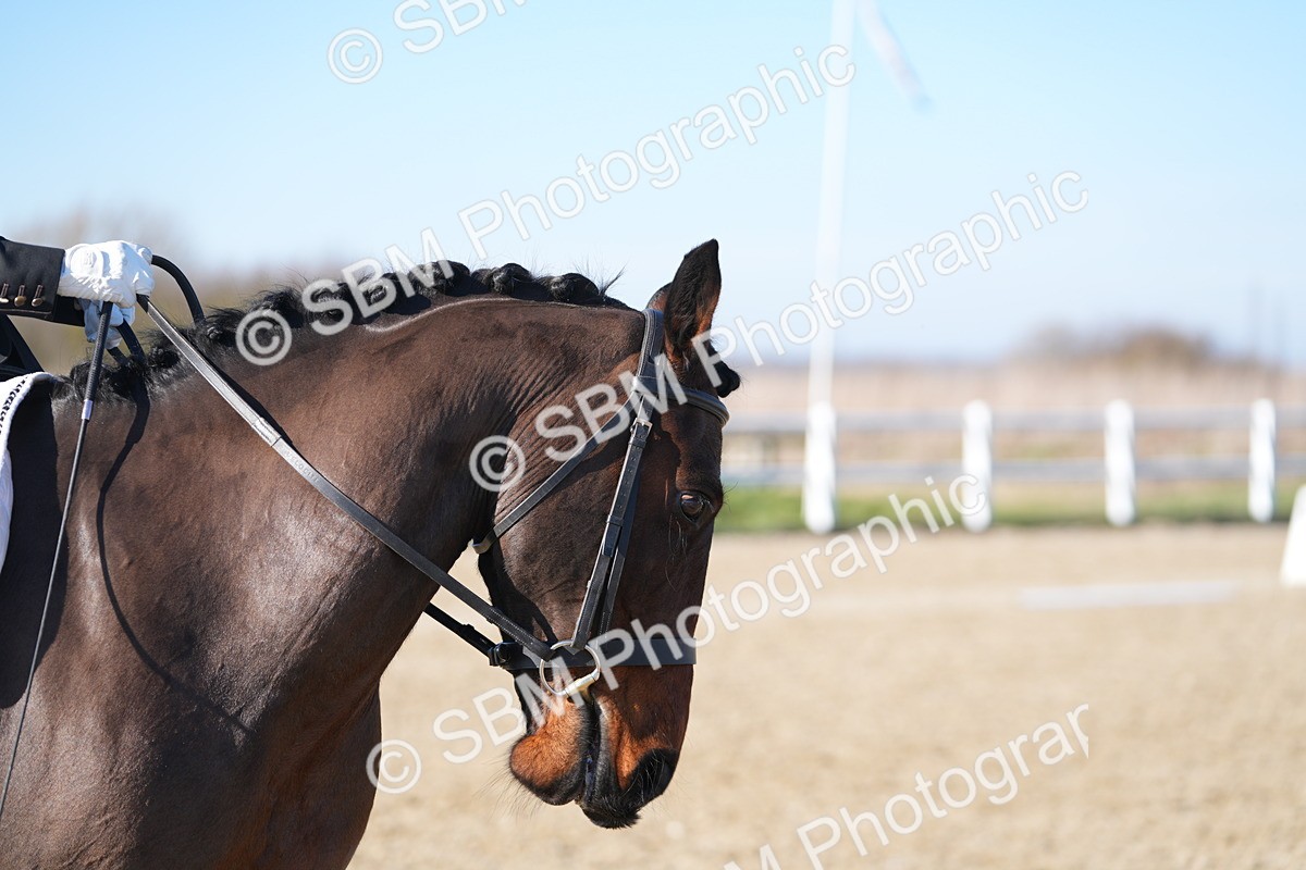 SBM_004131 - Class 3 - P2-80cm - E1