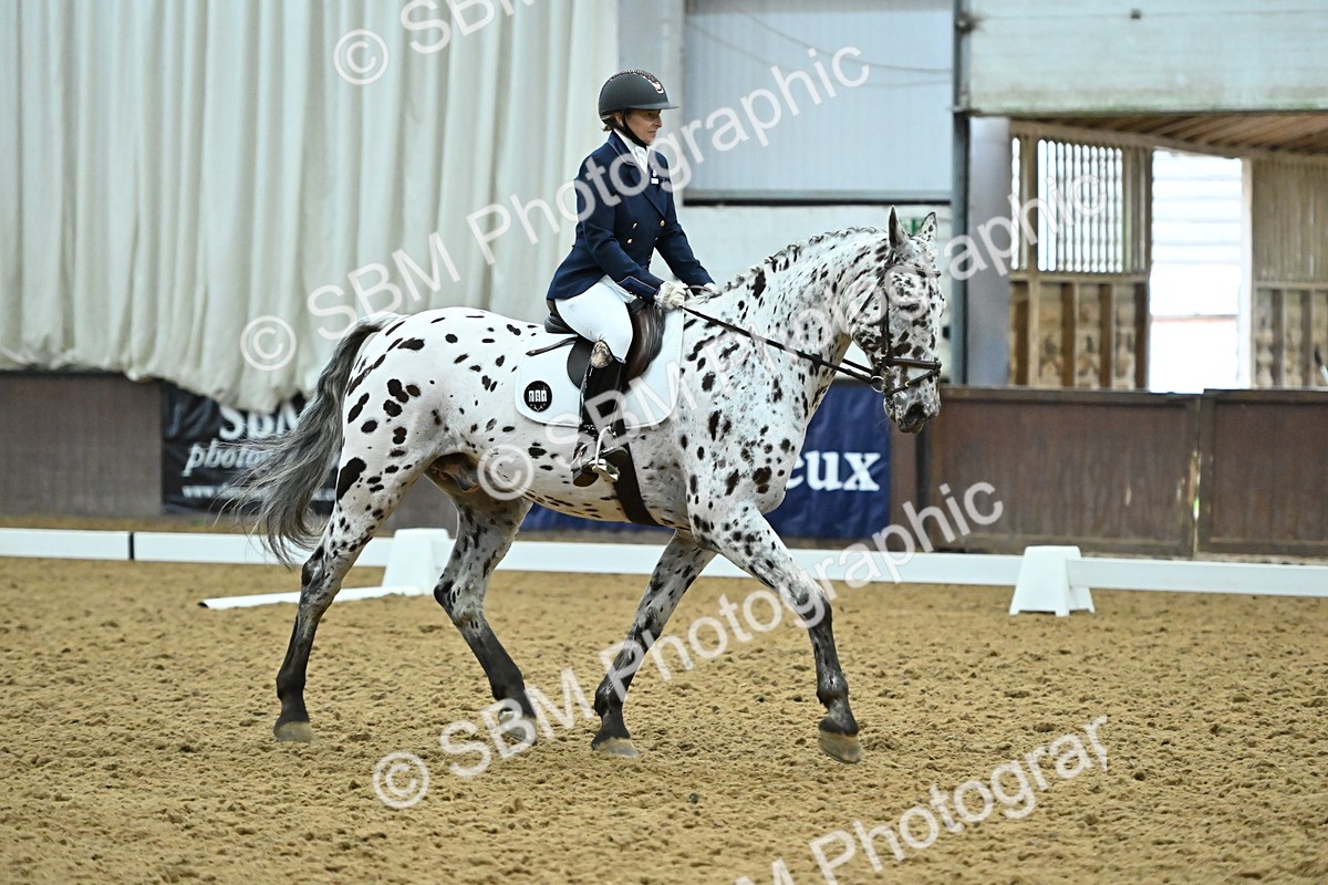 SBM_007492 - Class 81 - Novice 3