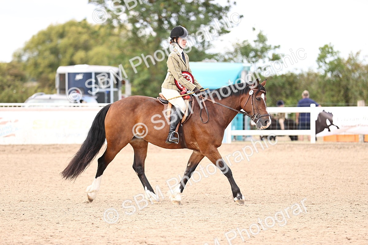 SBM_11706 - Class 408 - Grassroots Ridden - Walk & Trot