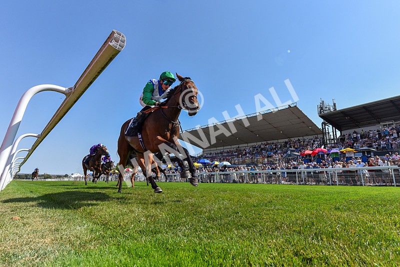 130826-Race 1-Not My Type-5049 - Race 1 14.15pm Racing TV Club Day EBF Fillies' Novice Stakes