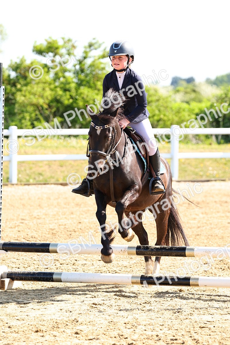 SBM_006675 - Class 3 - 60cm