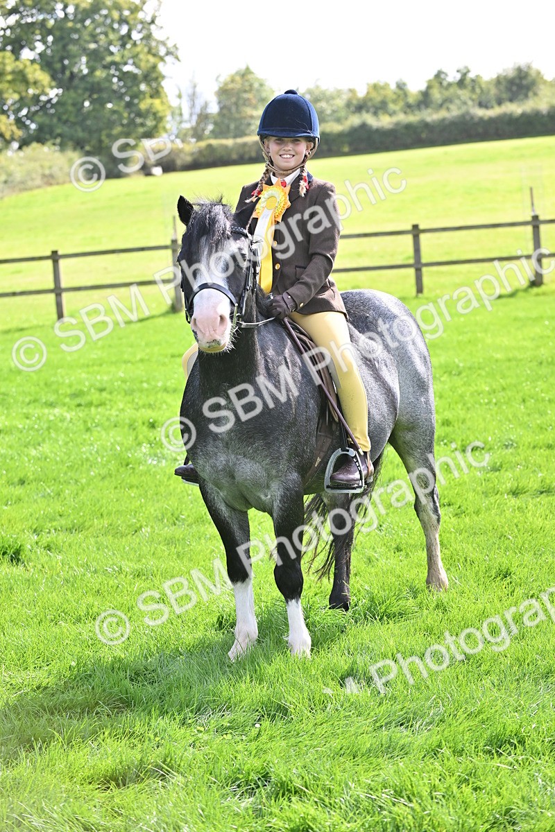 SBM_44601 - S13 - Pony Club Pony