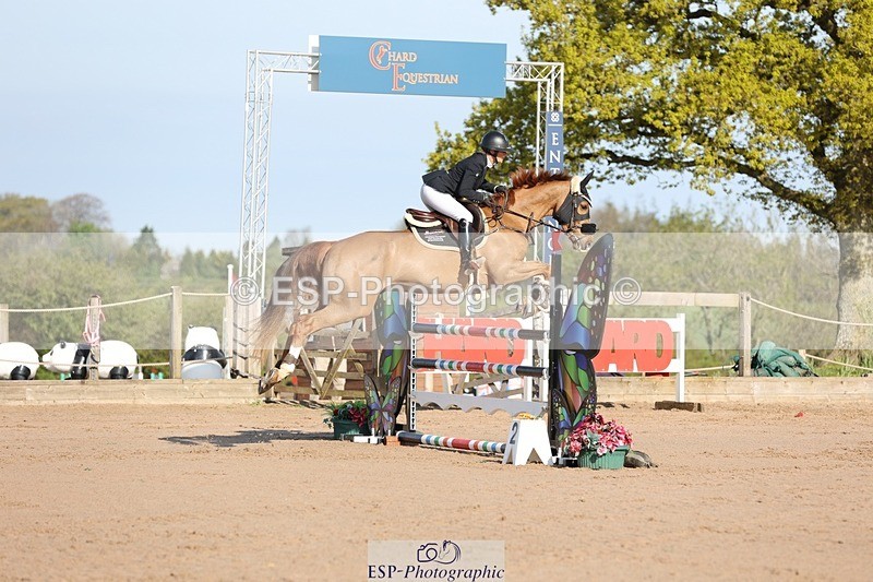 250427-085631-14669 - Cls 28 Young Horse 5yr old