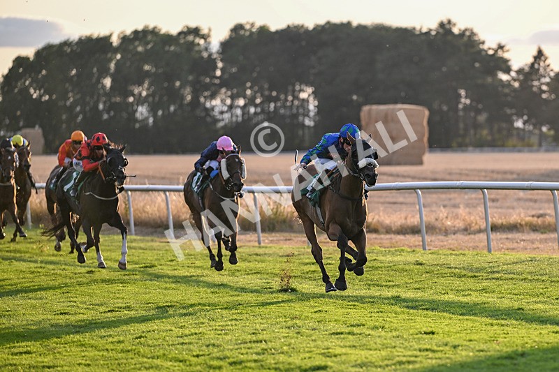 140826-Race 5-Military Leader-1481 - Race 5 19.50pm Malton Marquees Racing Through The Summer Handicap