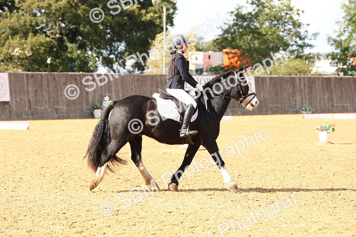 SBM_47492 - D12 - Small Tour Championship prelim 2