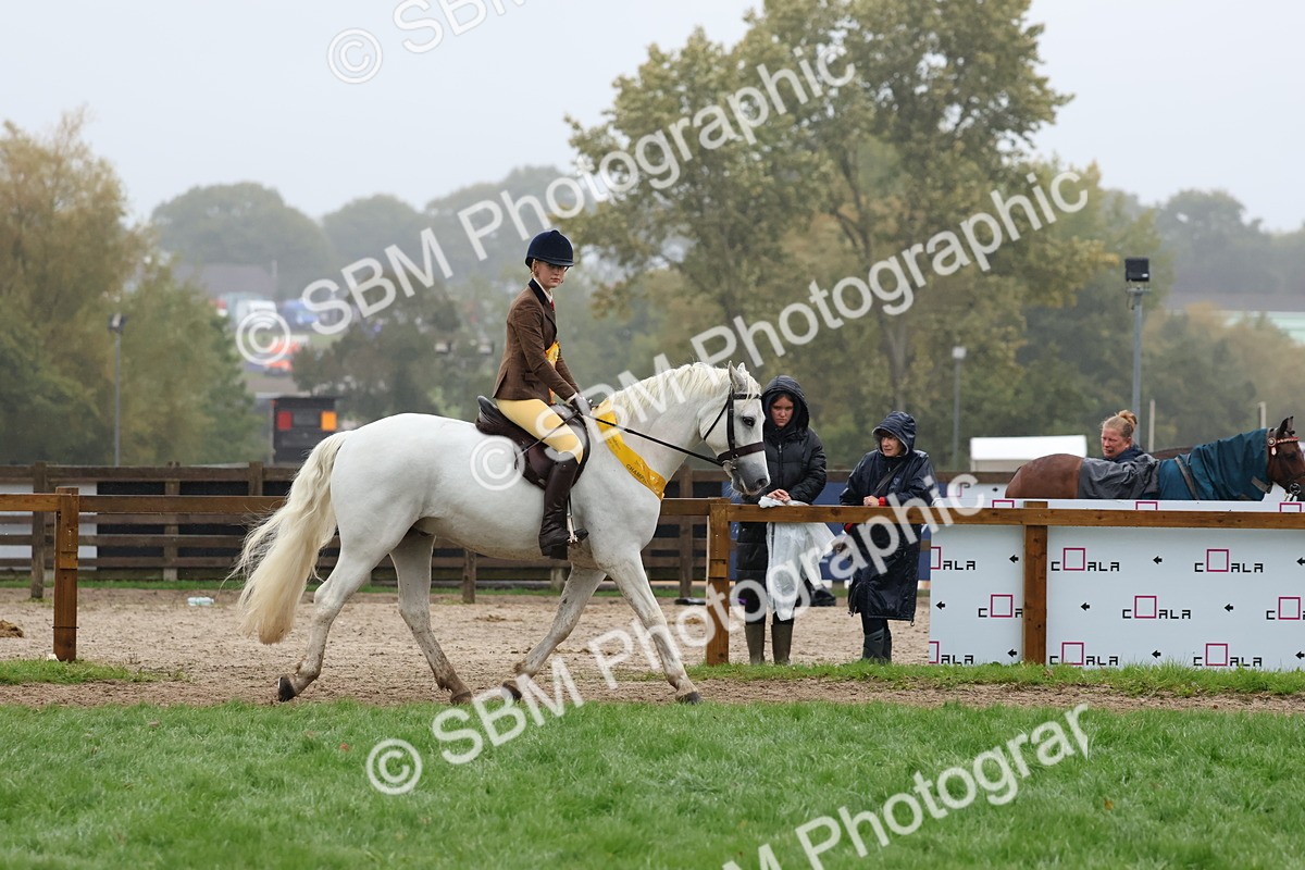 SBM_73116 - Ridden Pony Supreme Championship