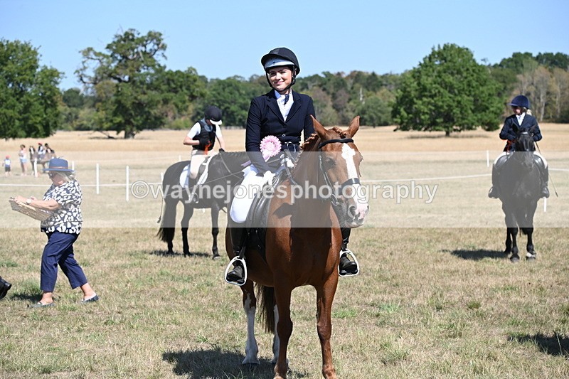WJ6_8511 - Class 37a Best Loan Pony Ridden
