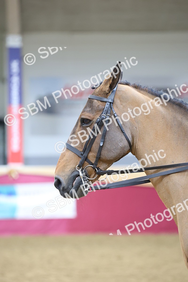 SBM_23609 - Class 904 - Supreme Final - Ridden Diamond