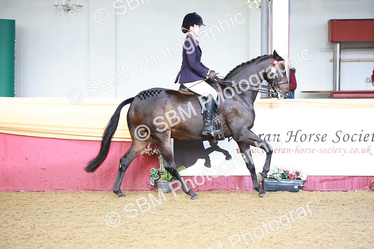 SBM_11830 - Class 102 - Equitation (Best Rider) Adult