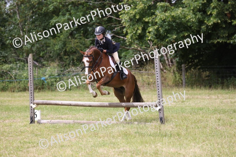 20260614-4131 - Class 24 - Mini and Major Pairs Jumping