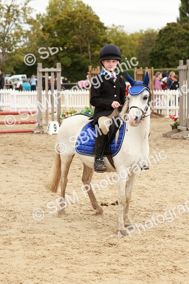 SBM_65338 - Supreme Championship 50cm & 55cm
