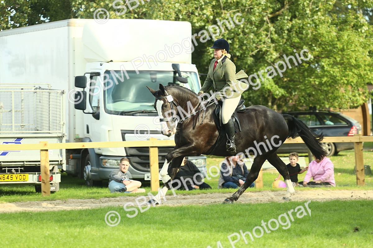 SBM_50705 - S33 - Working Hunter & Working Show Horse