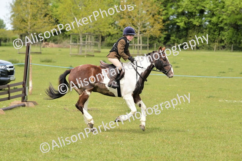 20260426-2458 - Class 21 - Working Hunter Ponies