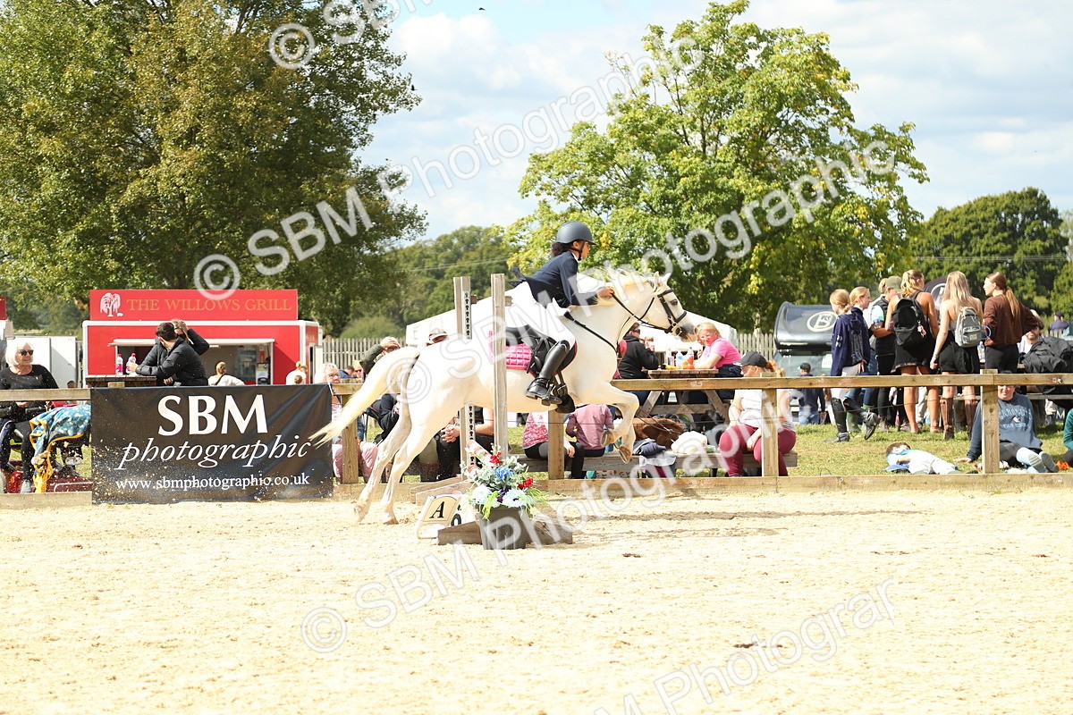 SBM_41345 - J6 - Junior Pony 55cm Championships