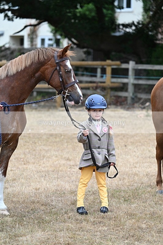 WJ7_8131 - Class 4 Prettiest Mare up to 14.2hh