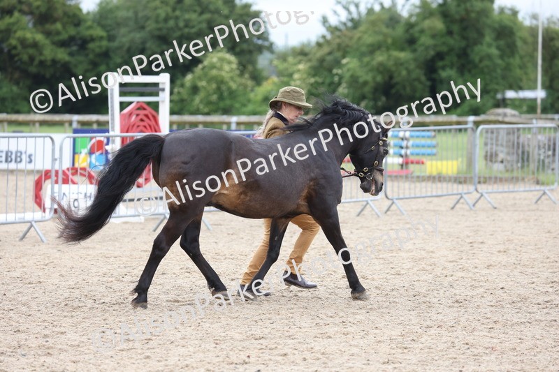 20250524-0678 - Class 7 - Veteran