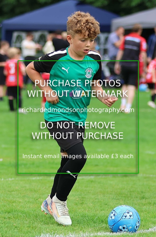 533A7949 - Burton Thistle