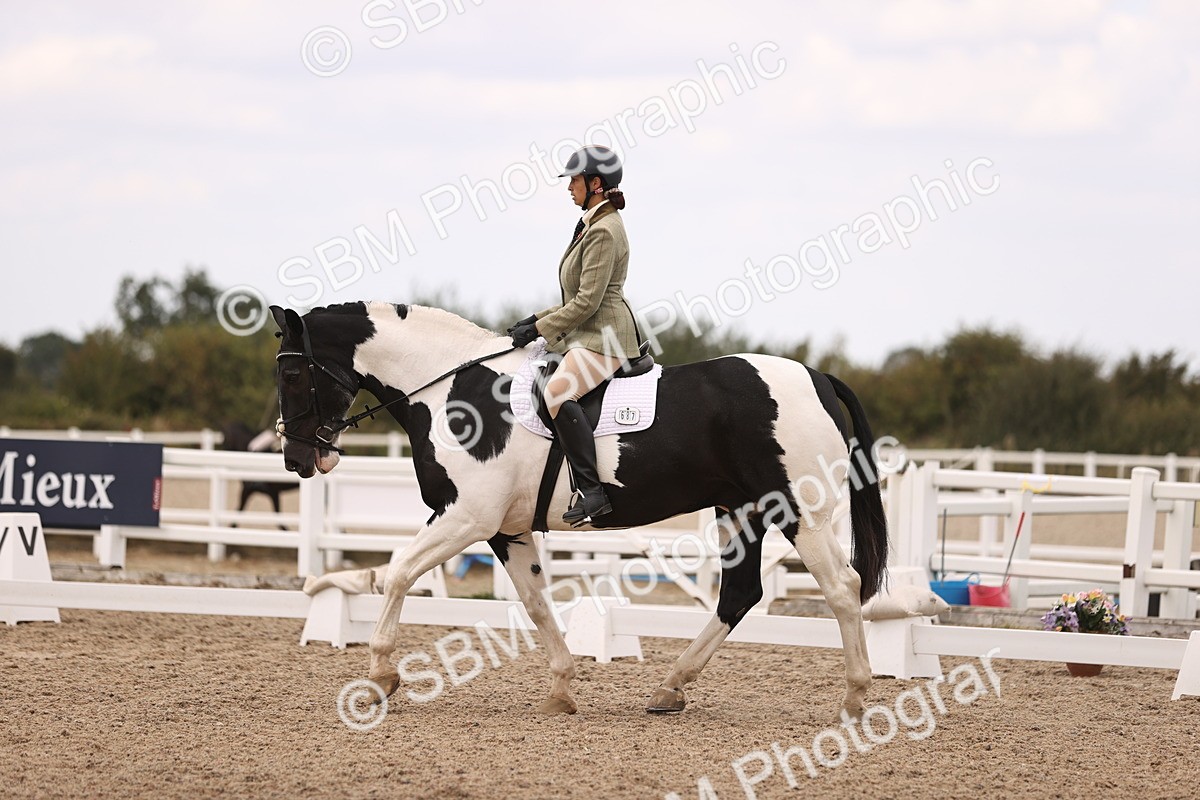 SBM_05885 - Class 37 Novice 5