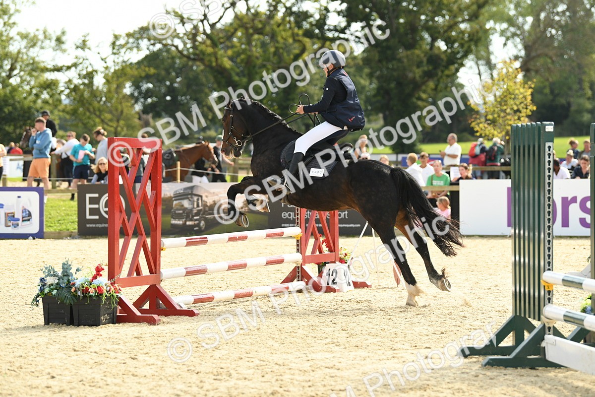 SBM_69178 - J15 - Junior Pony 70cm Championship