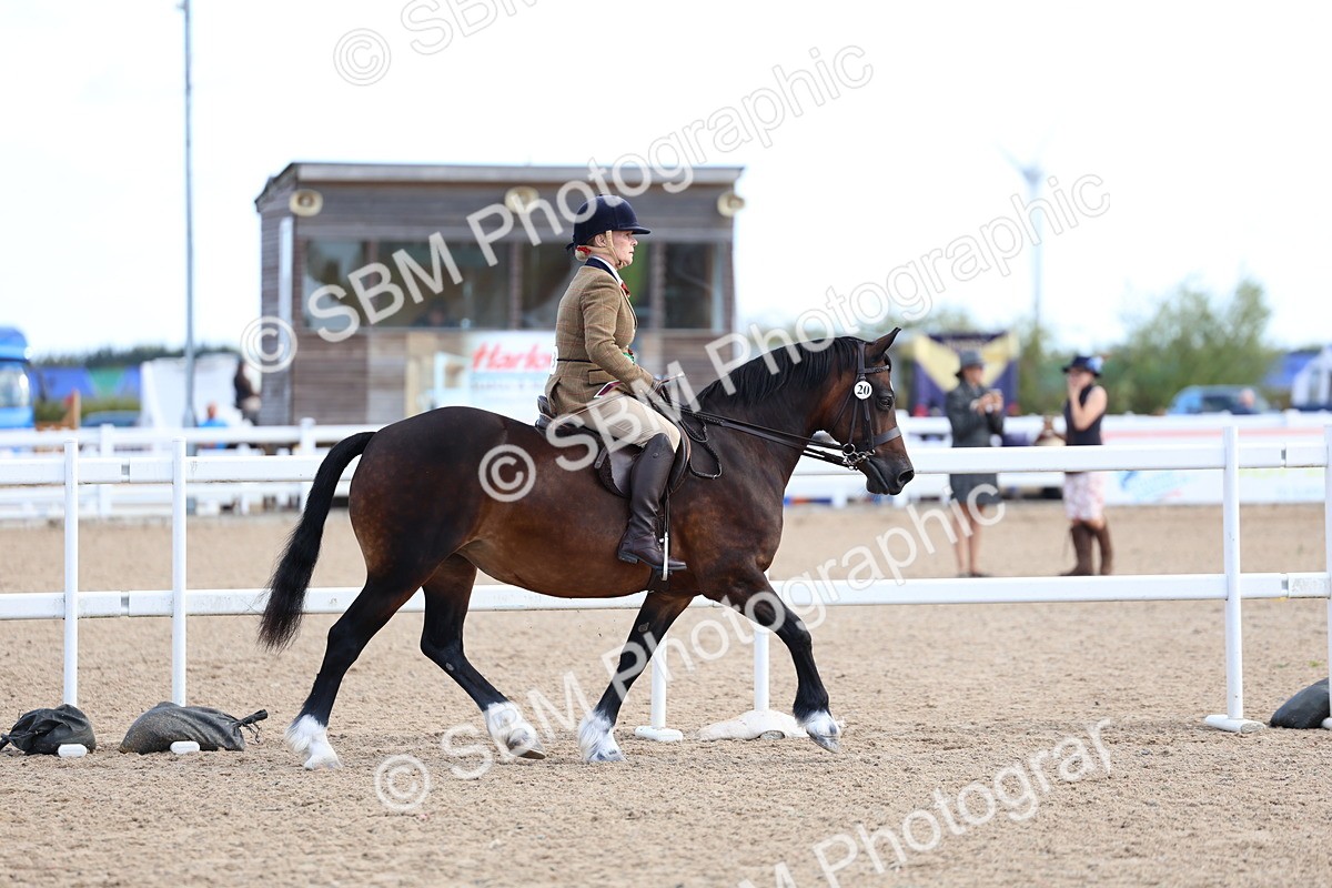 SBM_08987 - Class 302 - Ridden M&M - Large Breeds