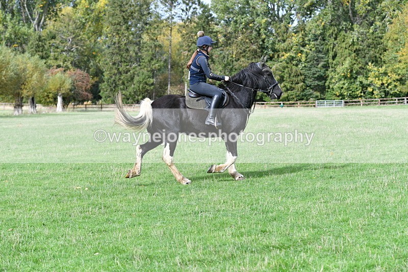 WJ5_9432 - Time 13:03 to 13:25