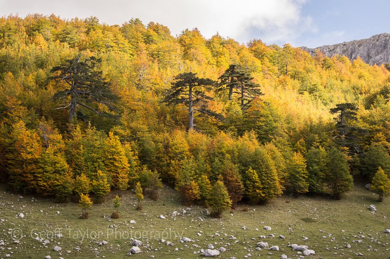 Monte Pollino walk - Naples, Padula & Northern Calabria