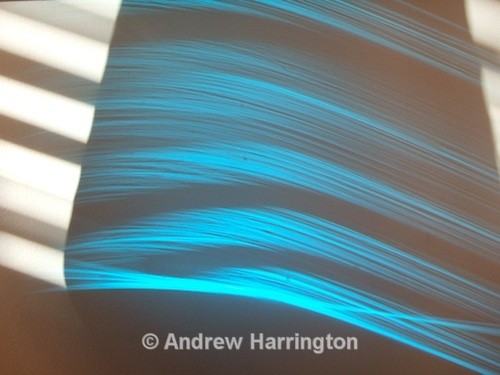 electric blue - Photos 2
