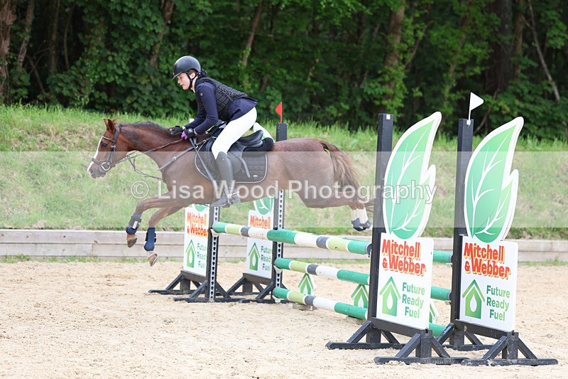 3E7A0108 - Class 13: Pony British Novice/80cm open