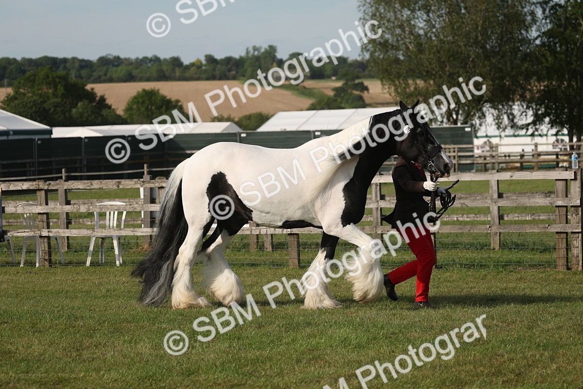 SBM_10541 - Class 33-38 - SSADL RIHS Qualifiers