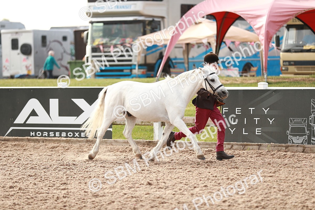 SBM_10516 - Class 204 Young Handler, 11-16 years