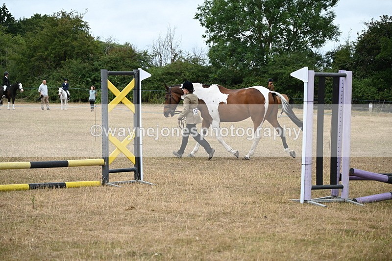 WJ6_8165 - Class 10 Coloured in Hand