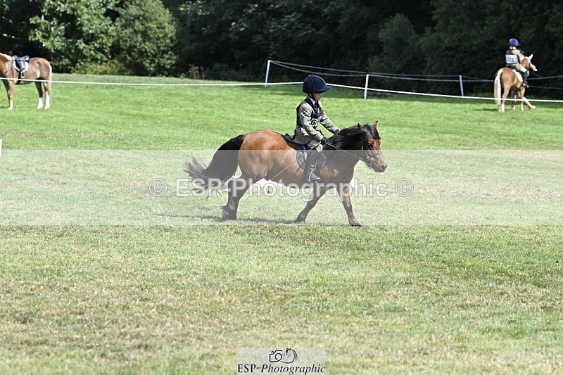 250822A-115651-22454 - DR 11.00 to 12.00