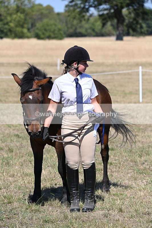 WJ6_8714 - Class 37b Best Loan Pony In-hand