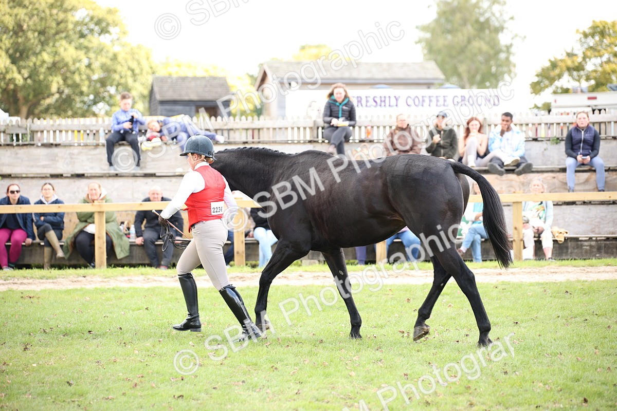 SBM_44418 - S24 - Young Veteran in hand