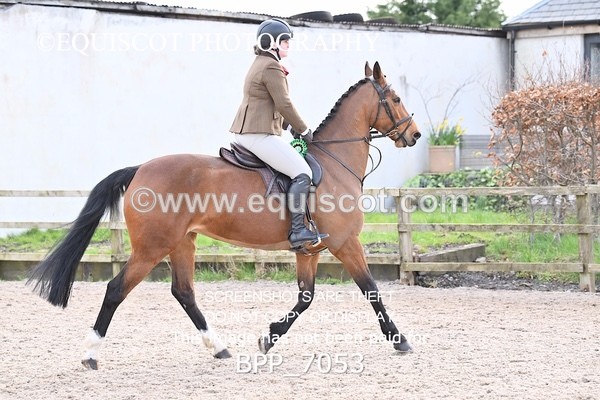 BPP_7053 - RING 1  (RIDDEN HORSES / IN HAND / VETERAN ETC)