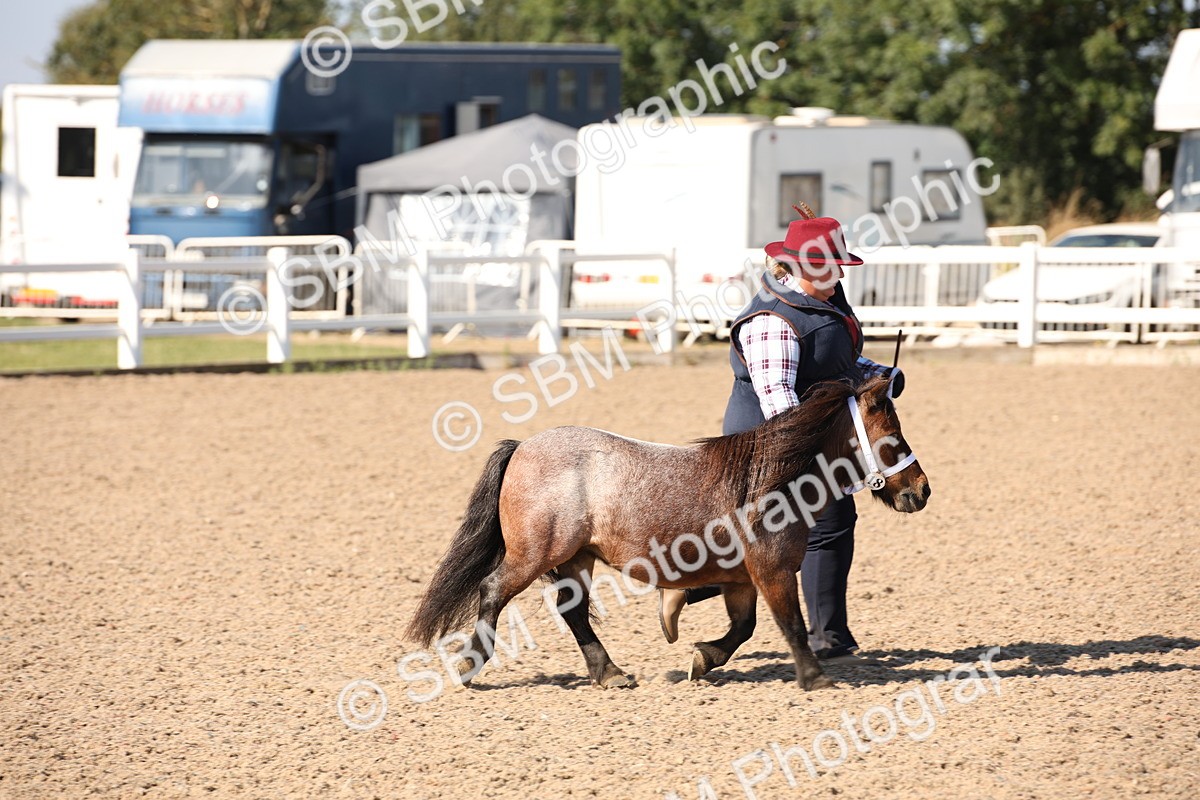 SBM_02698 - Class 16 IH M&M Wildcard