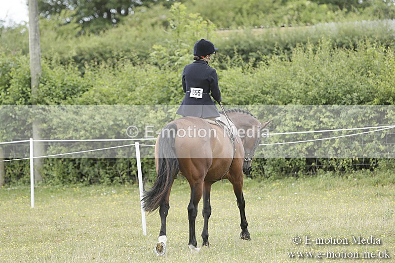 BVR160717-2336 - Side Saddle Classes 16/07/17