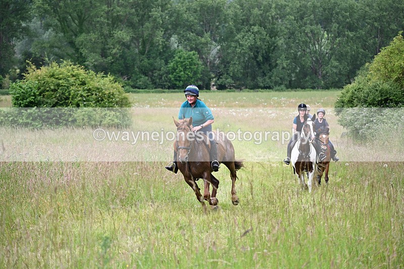 WJ6_8186 - Camera 1 Gallops