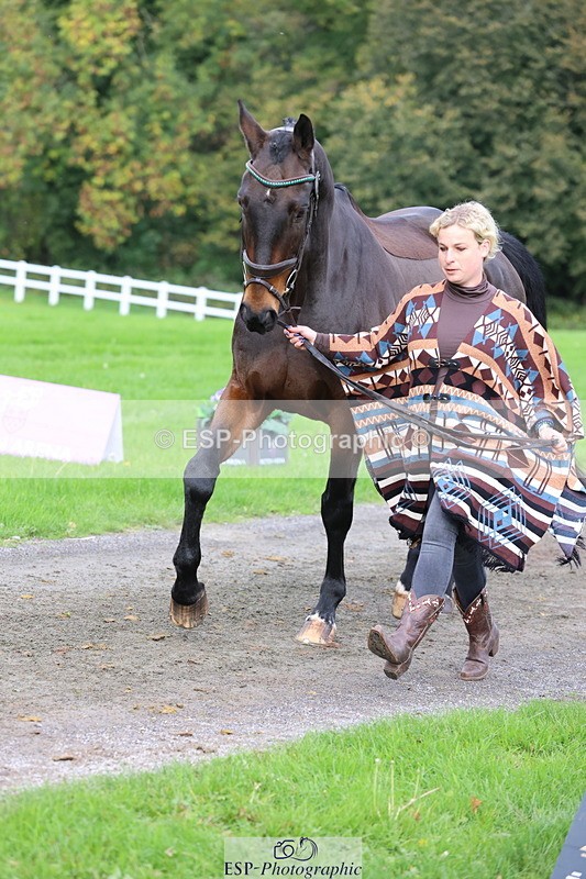 251026A-120045-25823 - G-507-Dominique.Kinnaird-Ainley