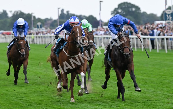 230825-249 Revival Power - Race 6 4.45pm Julia Graves Roses Stakes