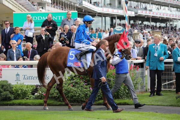 yr17082022r3-8 - Race 3 3.00pm Sky Bet Great Voltigeur Stakes