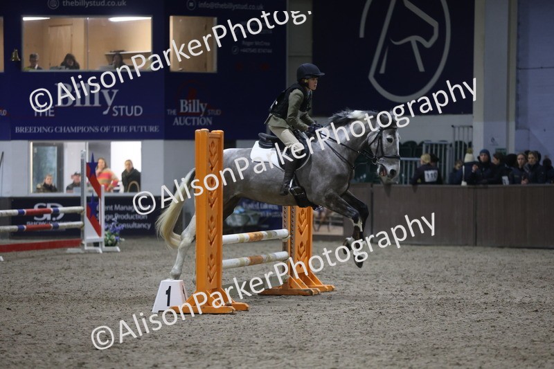 20260125-5062 - Class 5 - 80cm