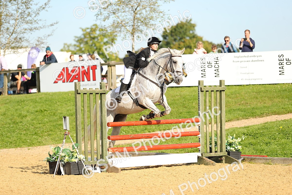 SBM_60384 - J41 - Grand Tour 95cm Championship