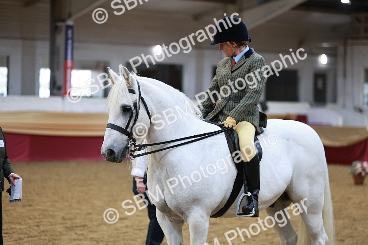 SBM_08242 - Class 11R - Regional Ridden Veteran