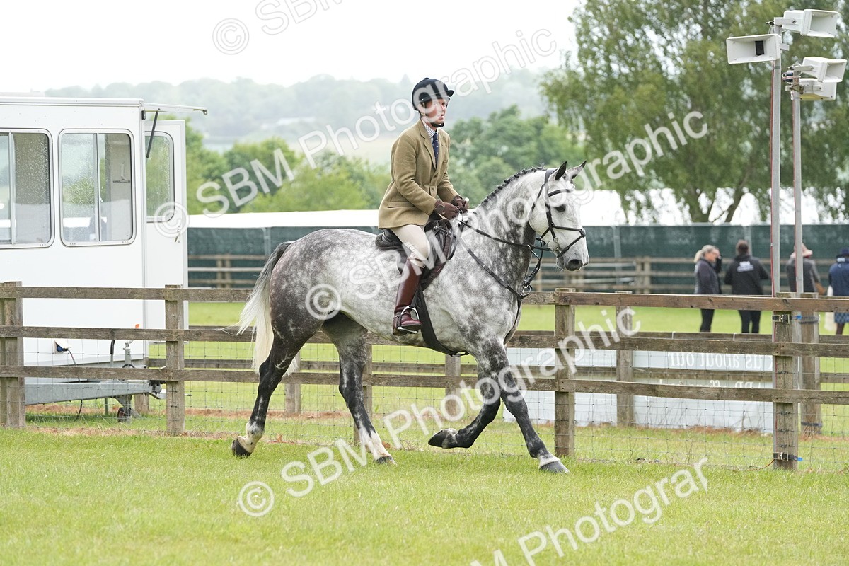 SBM_12656 - Class 97-98 - LIHS BSHA Rising Star Working Show Horse Hunter
