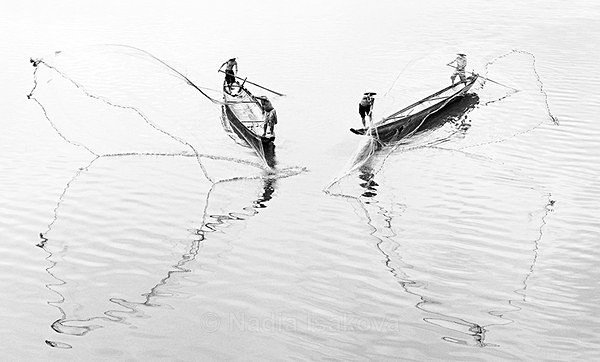  - Black & White