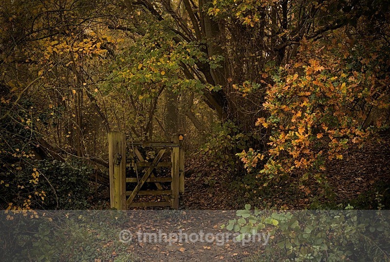 Gateway. - Yorkshire Countryside