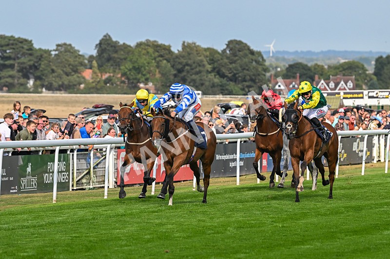 240825-Race 5-This Years Love-3388 - Race 5
