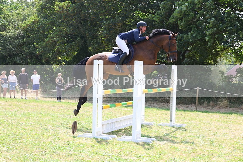 3E7A3408 - Class 10: Senior Foxhunter/1.20 open